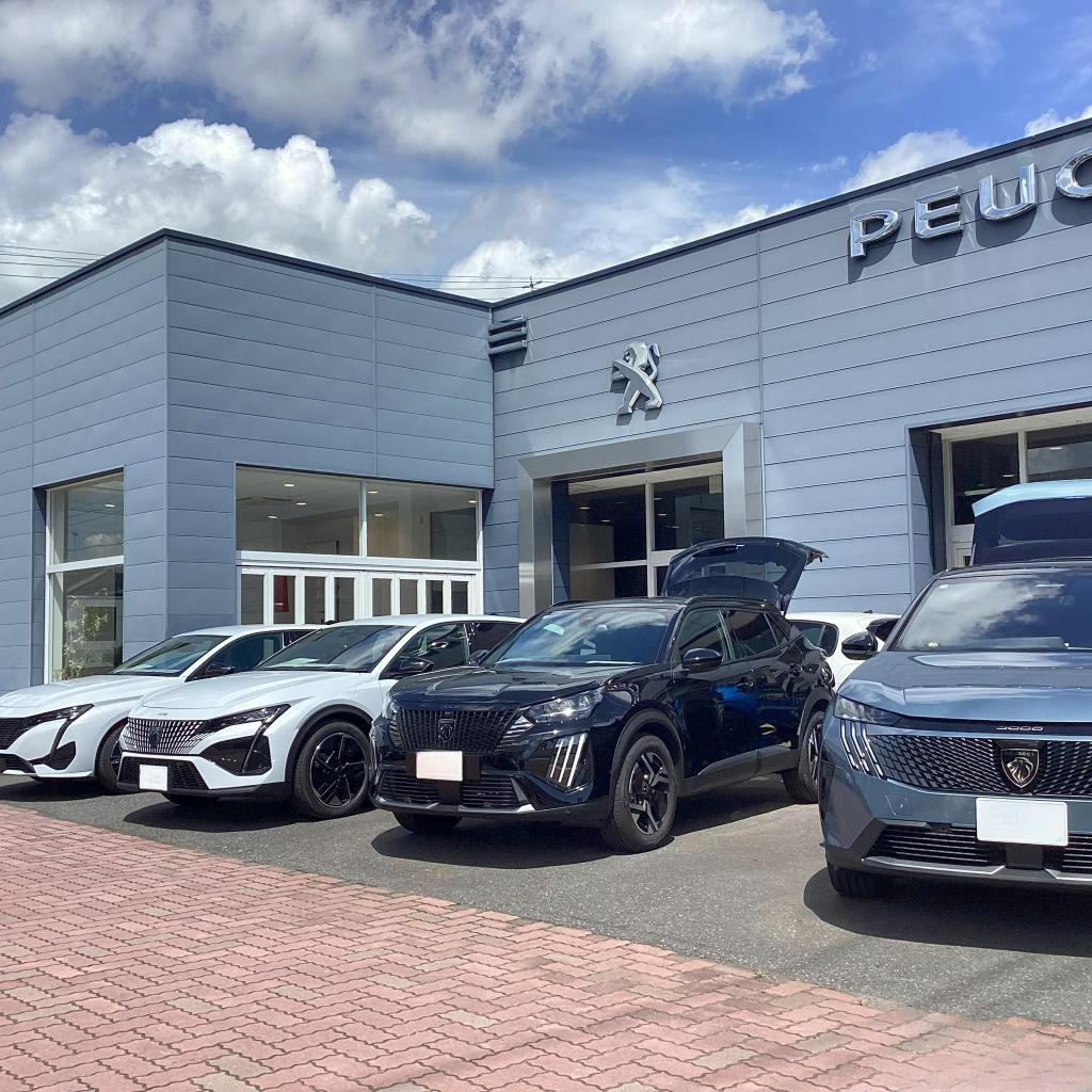 プジョー守谷でSUVを買うならこのモデル！おすすめ車種と選び方ガイド