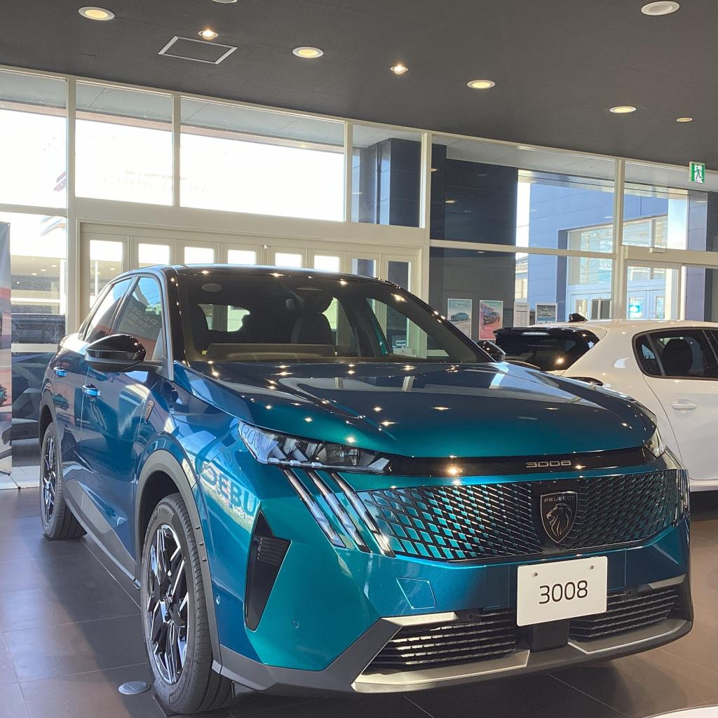 PEUGEOT 3008　エクステリア