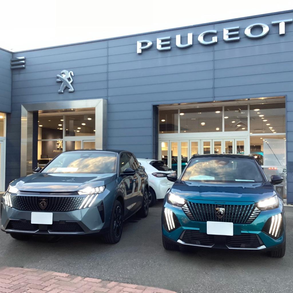 本日のPEUGEOT守谷です