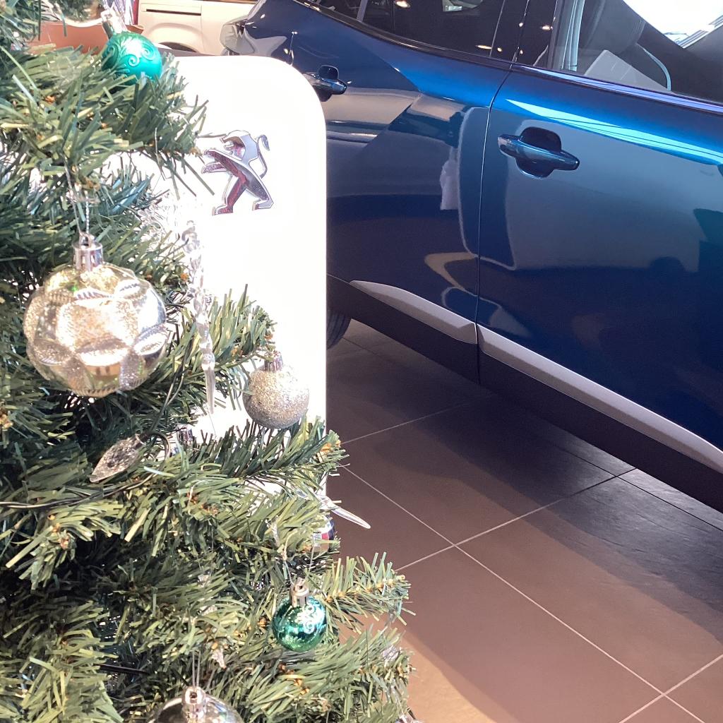 プジョー守谷です