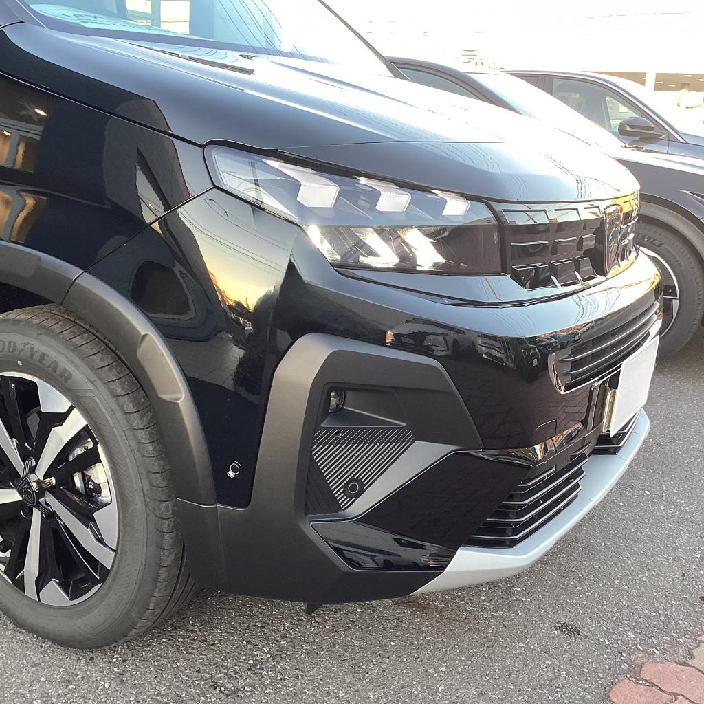 ライオンの眼差し ― RIFTER