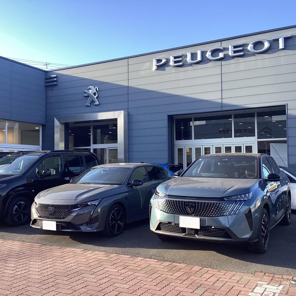 フランス車 × 守谷市