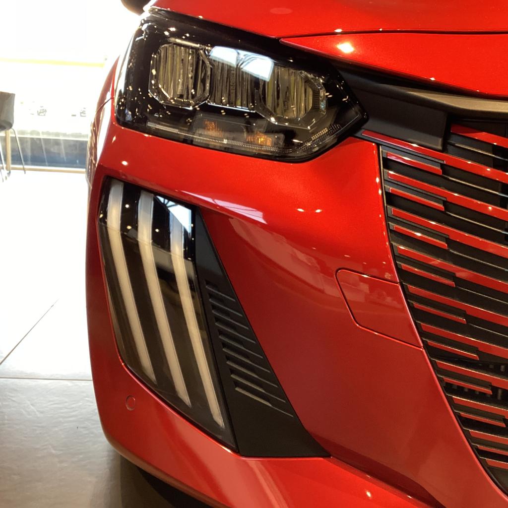 今日は猫の日。そしてプジョーの日。