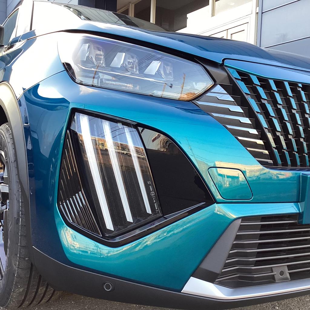 今日は猫の日。そしてプジョーの日。