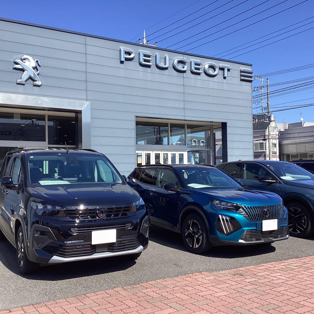 フランス車 × 守谷市