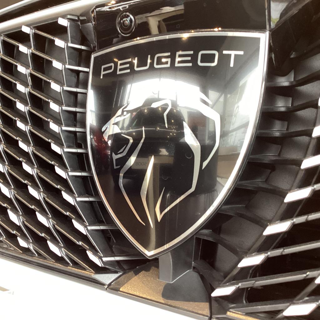 今日はプジョーの誕生日。