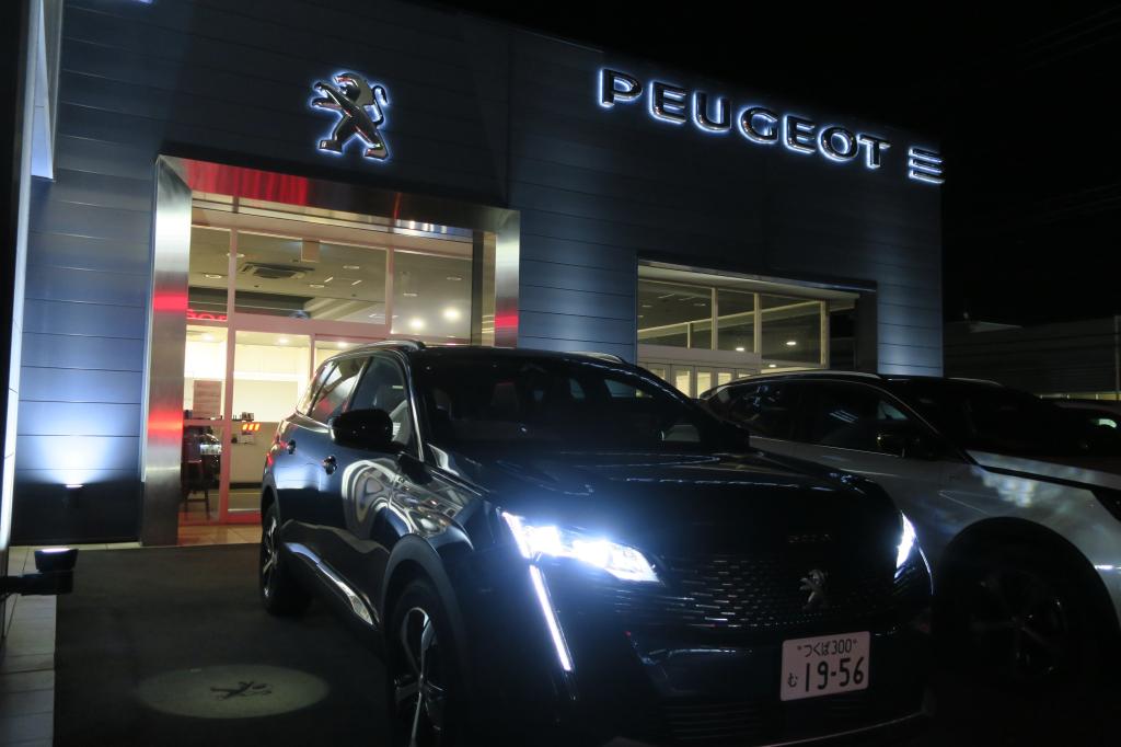New5008  ”表情”