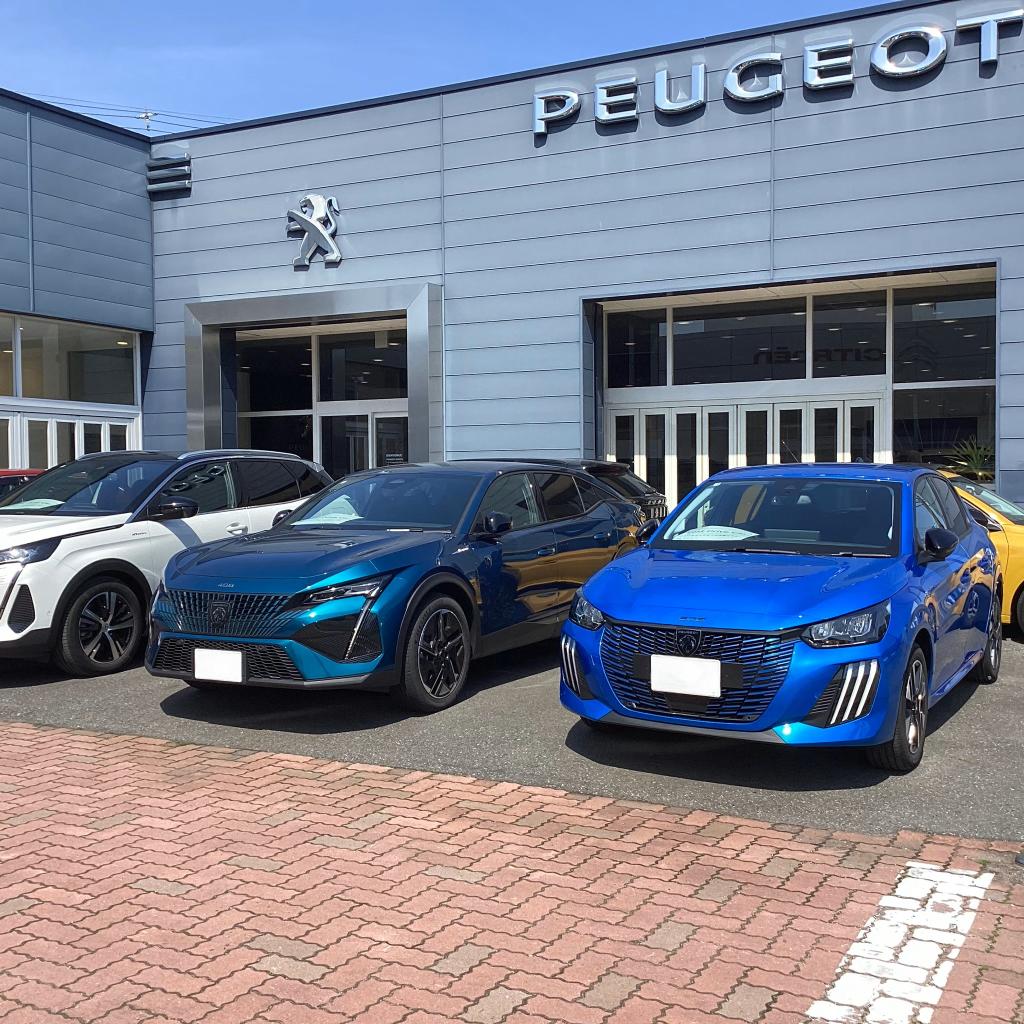 本日のPEUGEOT守谷です