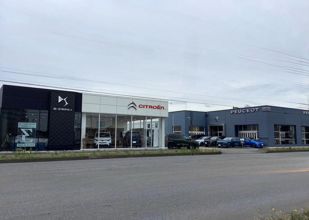 本日のPEUGEOT守谷です